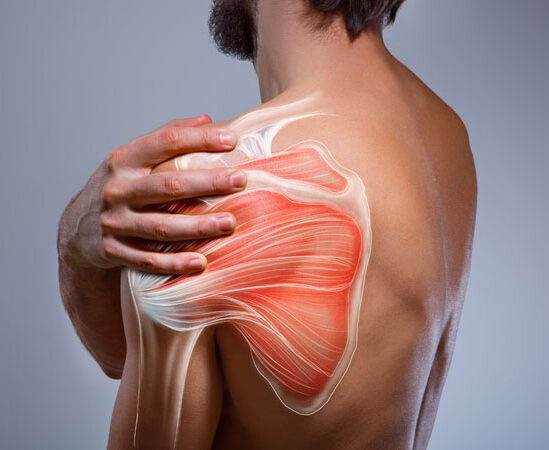 Man holding his shoulder with an overlay illustration showing the muscles and bones of the shoulder joint.